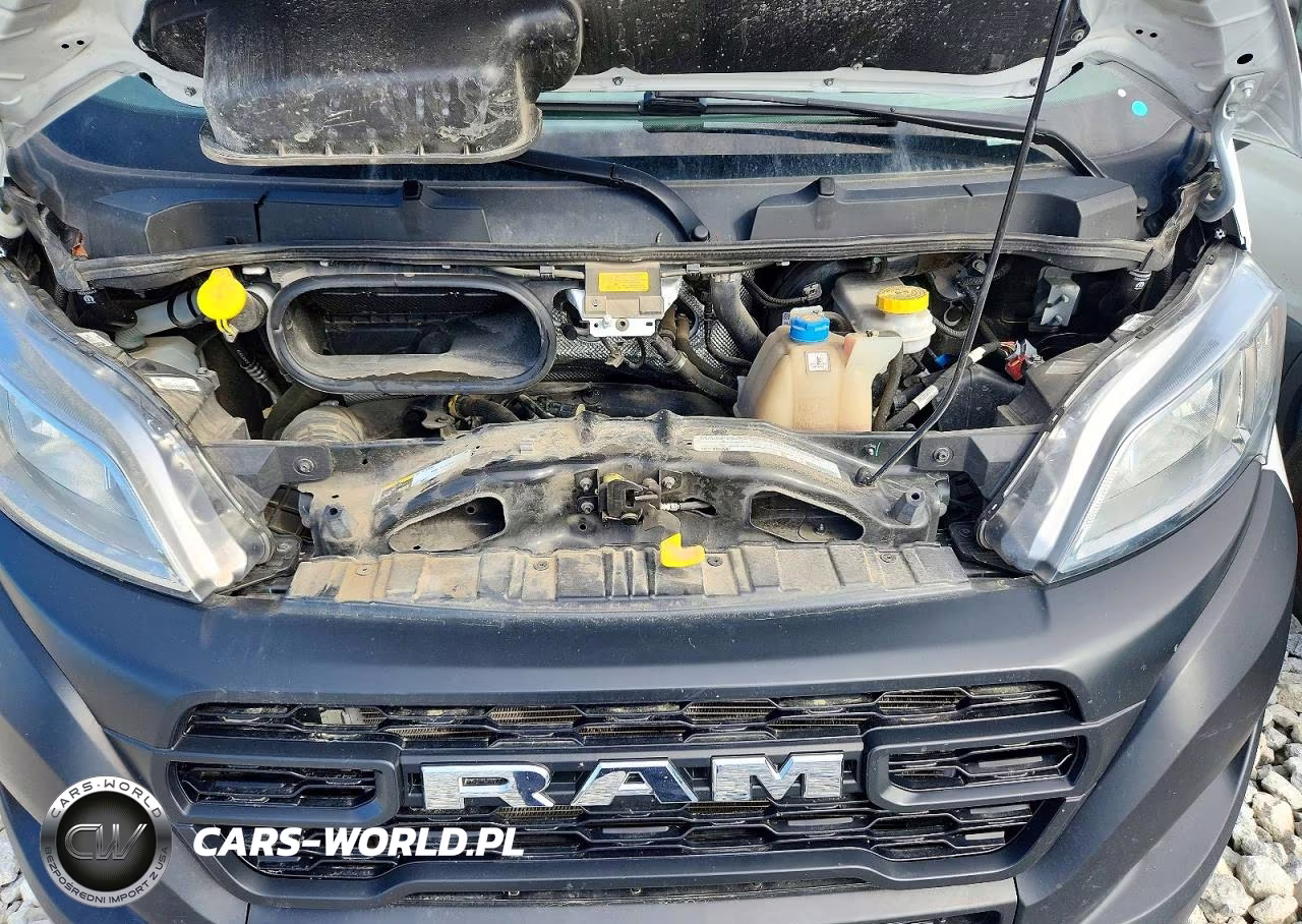 2025 Ram Promaster 2500 Delivery Van VIN:3C6LRVDG9SE511814 - 12