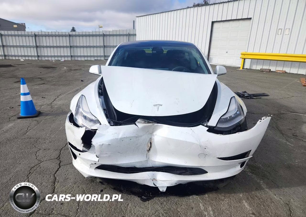 2020 Tesla Model 3 VIN:5YJ3E1EA4LF805849 - 5