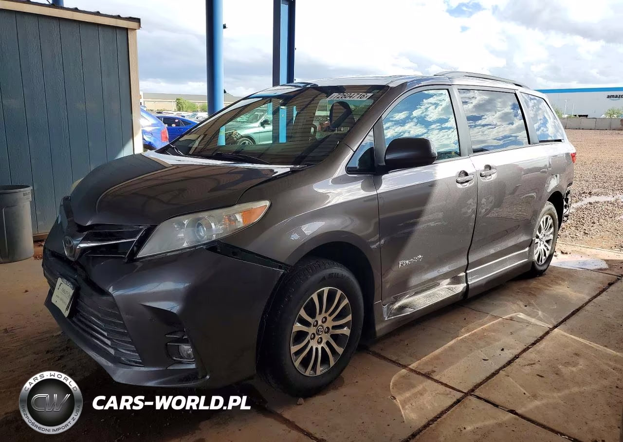 2019 Toyota Sienna Xle 8-Passenger VIN:5TDYZ3DCXKS979220 - 1