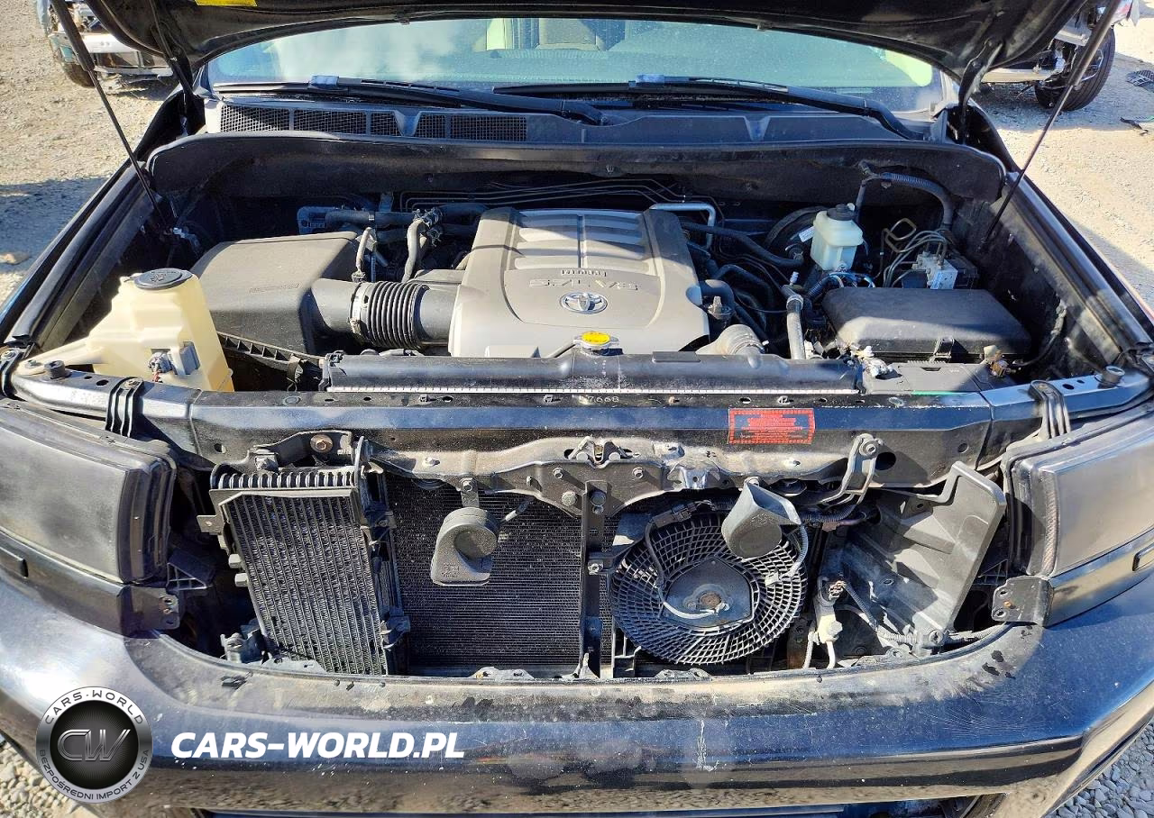 2010 Toyota Sequoia Platinum 5.7L V8 VIN:5TDDW5G18AS028476 - 12