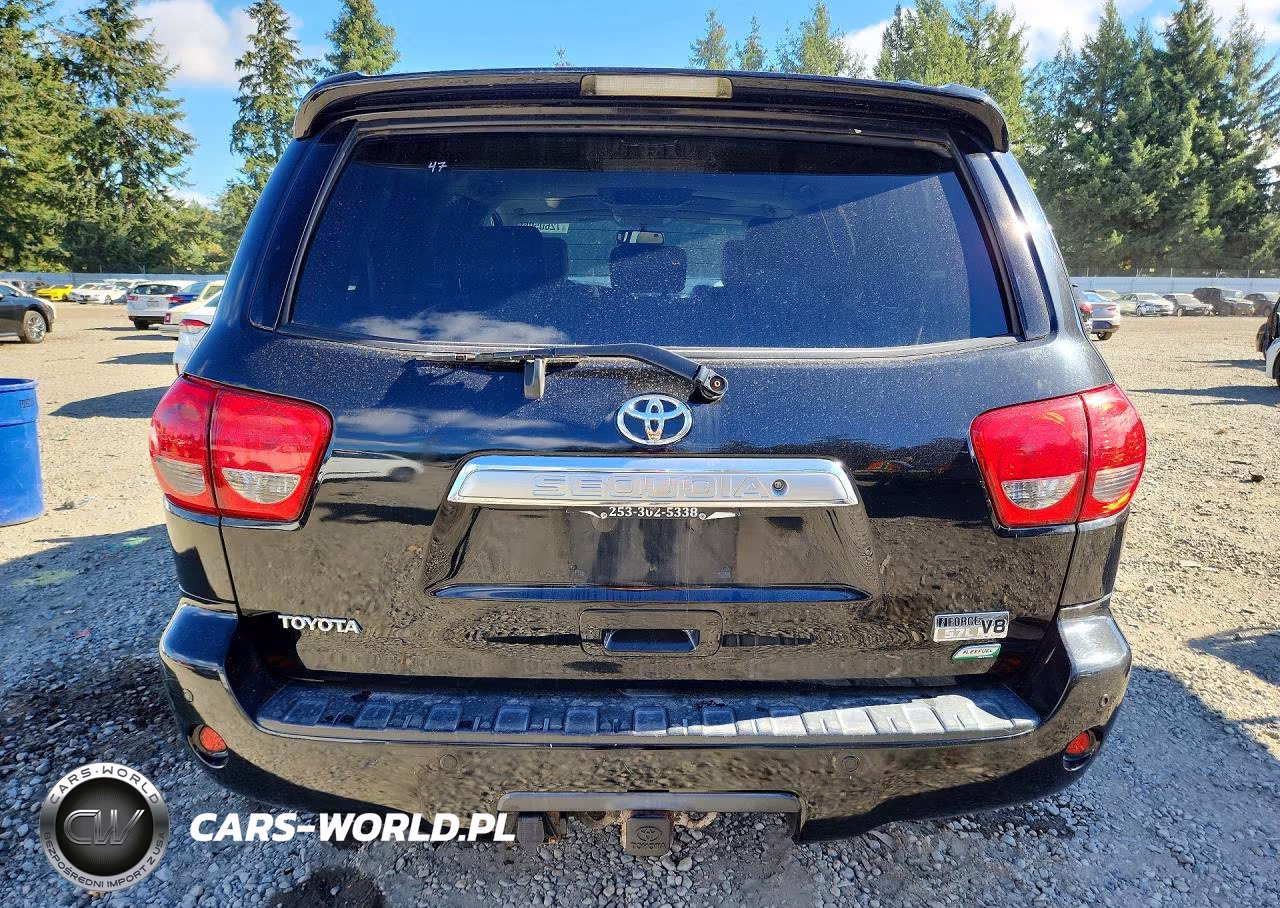 2010 Toyota Sequoia Platinum 5.7L V8 VIN:5TDDW5G18AS028476 - 6