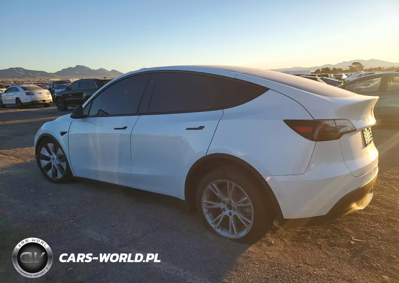 2021 Tesla Model Y VIN:5YJYGDEE0MF174703 - 2
