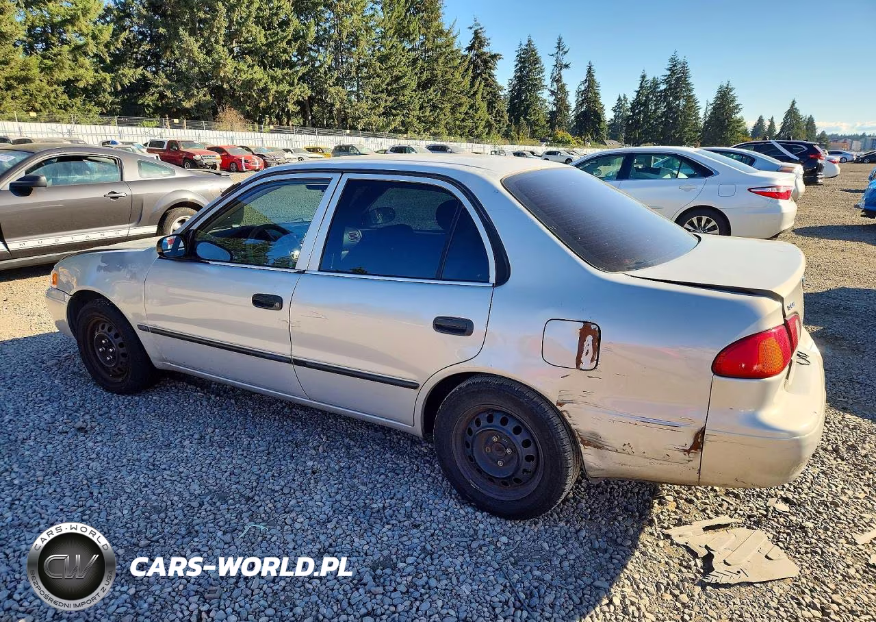 2000 Toyota Corolla Ve VIN:1NXBR12E7YZ336824 - 2