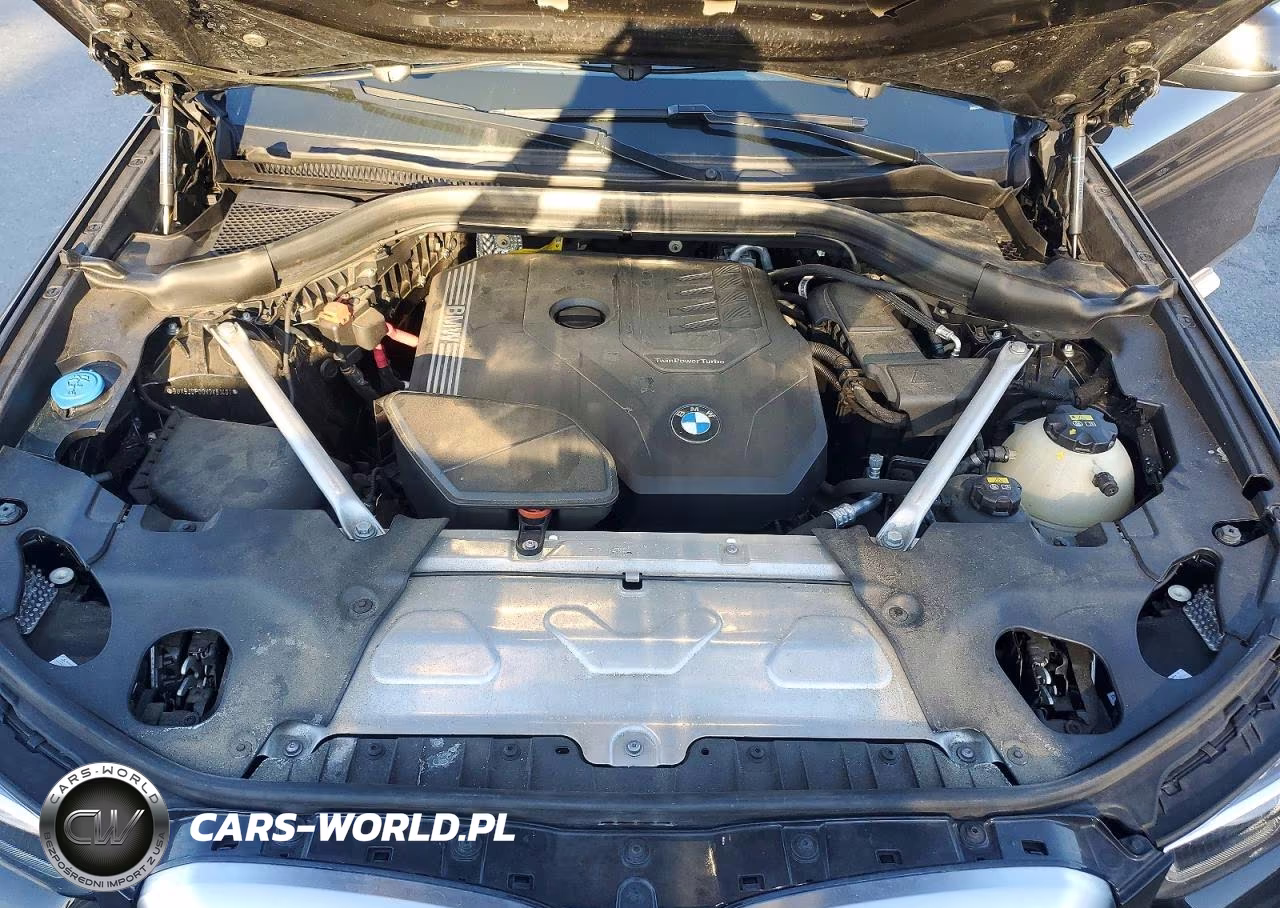 2022 BMW X3 xDrive30I VIN:5UX53DP00N9K61401 - 11