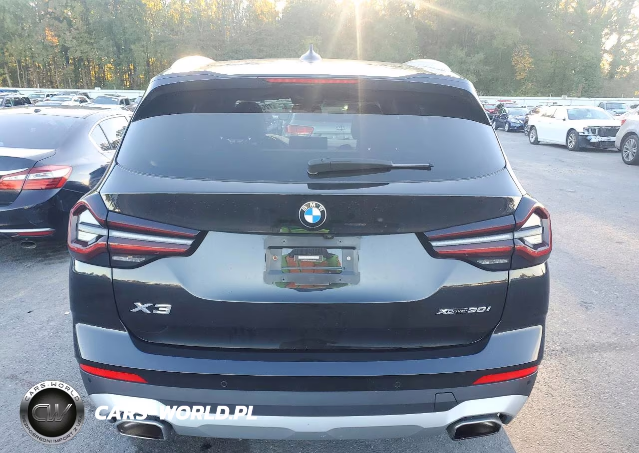 2022 BMW X3 xDrive30I VIN:5UX53DP00N9K61401 - 6