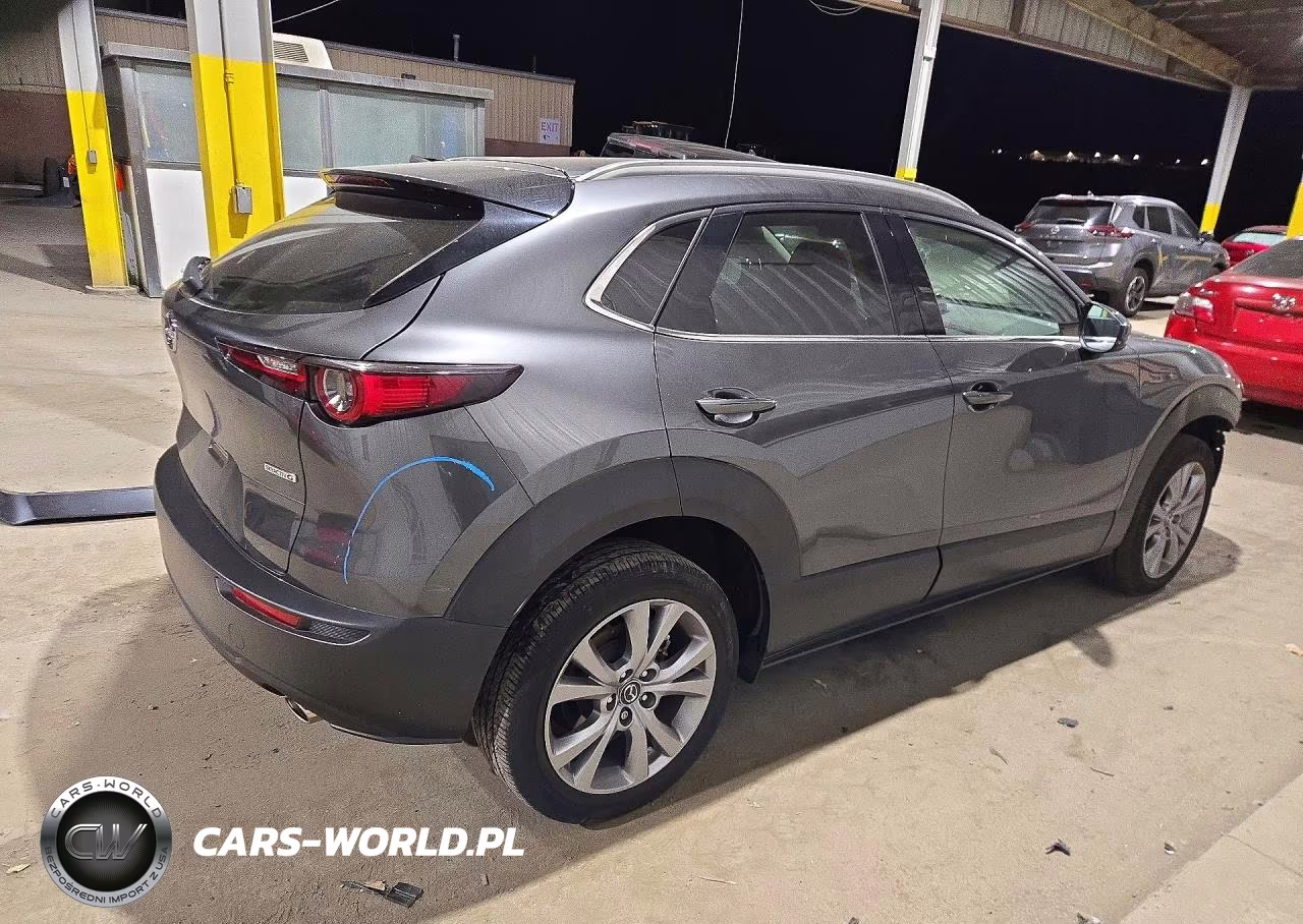 2023 Mazda Cx-30 Premium VIN:3MVDMBDM3PM534789 - 3