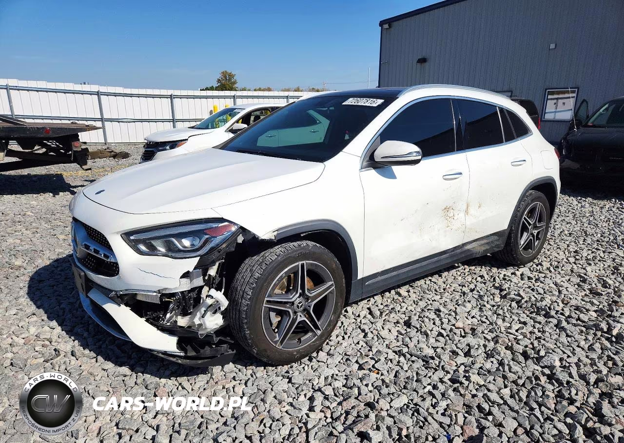 2021 Mercedes-Benz Gla 250 4Matic VIN:W1N4N4HB3MJ186321 - 1