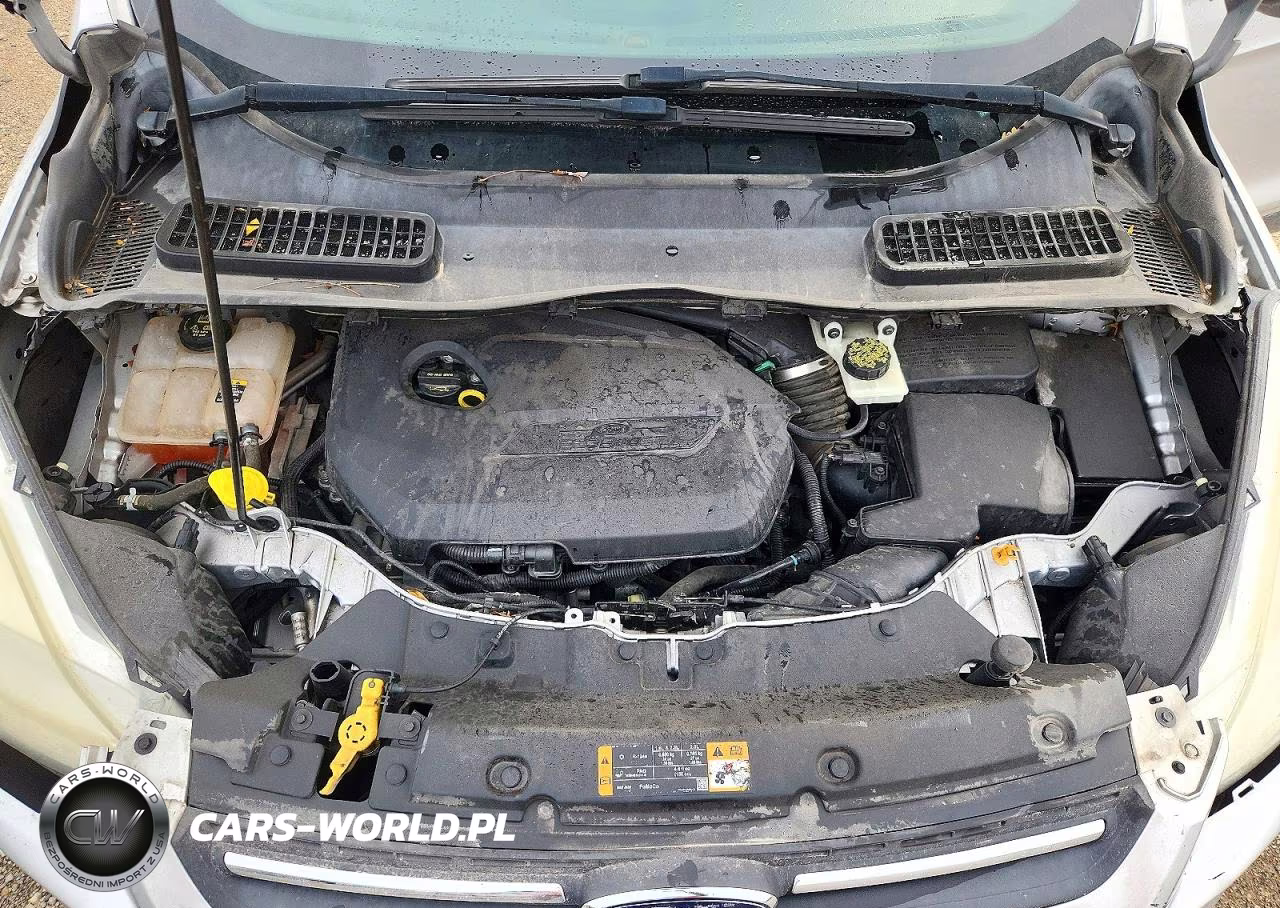 2013 Ford Escape Se VIN:1FMCU0GX3DUD16944 - 11