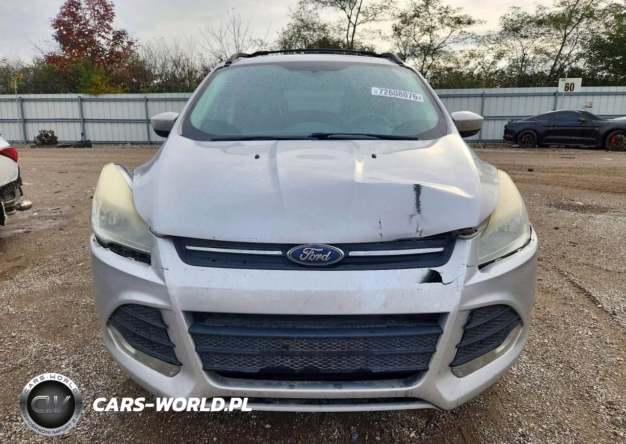 2013 Ford Escape Se VIN:1FMCU0GX3DUD16944 - 5