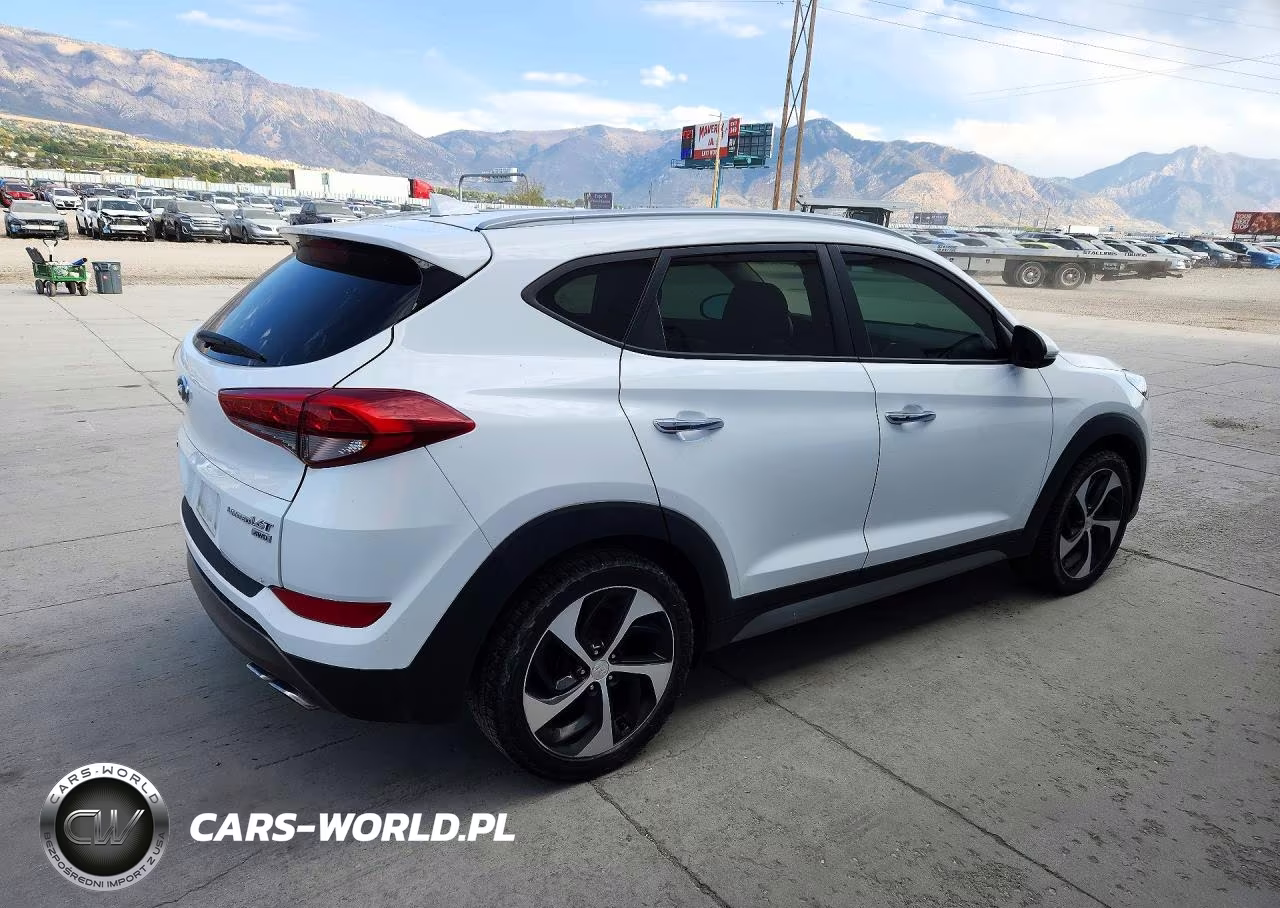 2017 Hyundai Tucson Limited VIN:KM8J3CA27HU319439 - 3