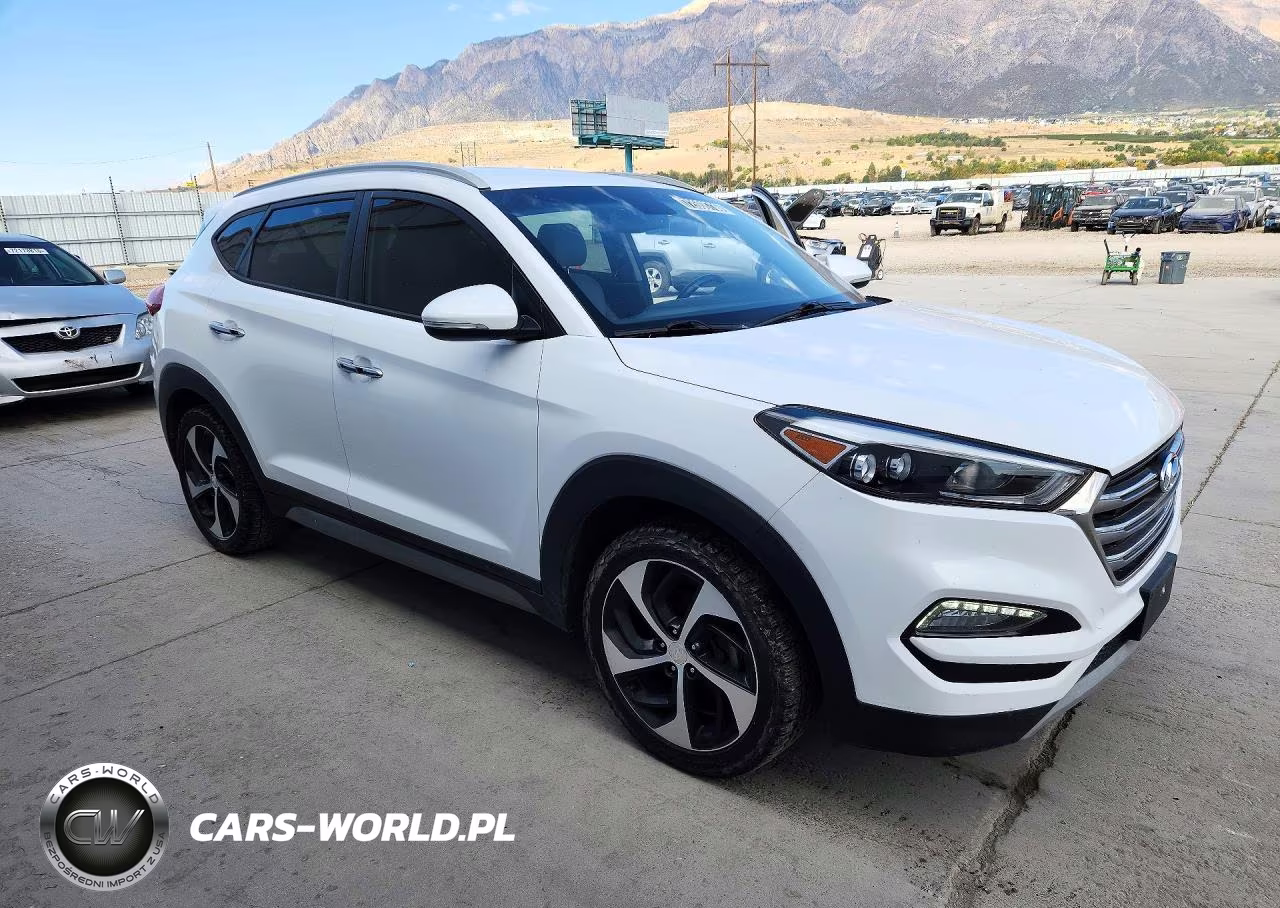 2017 Hyundai Tucson Limited VIN:KM8J3CA27HU319439 - 4