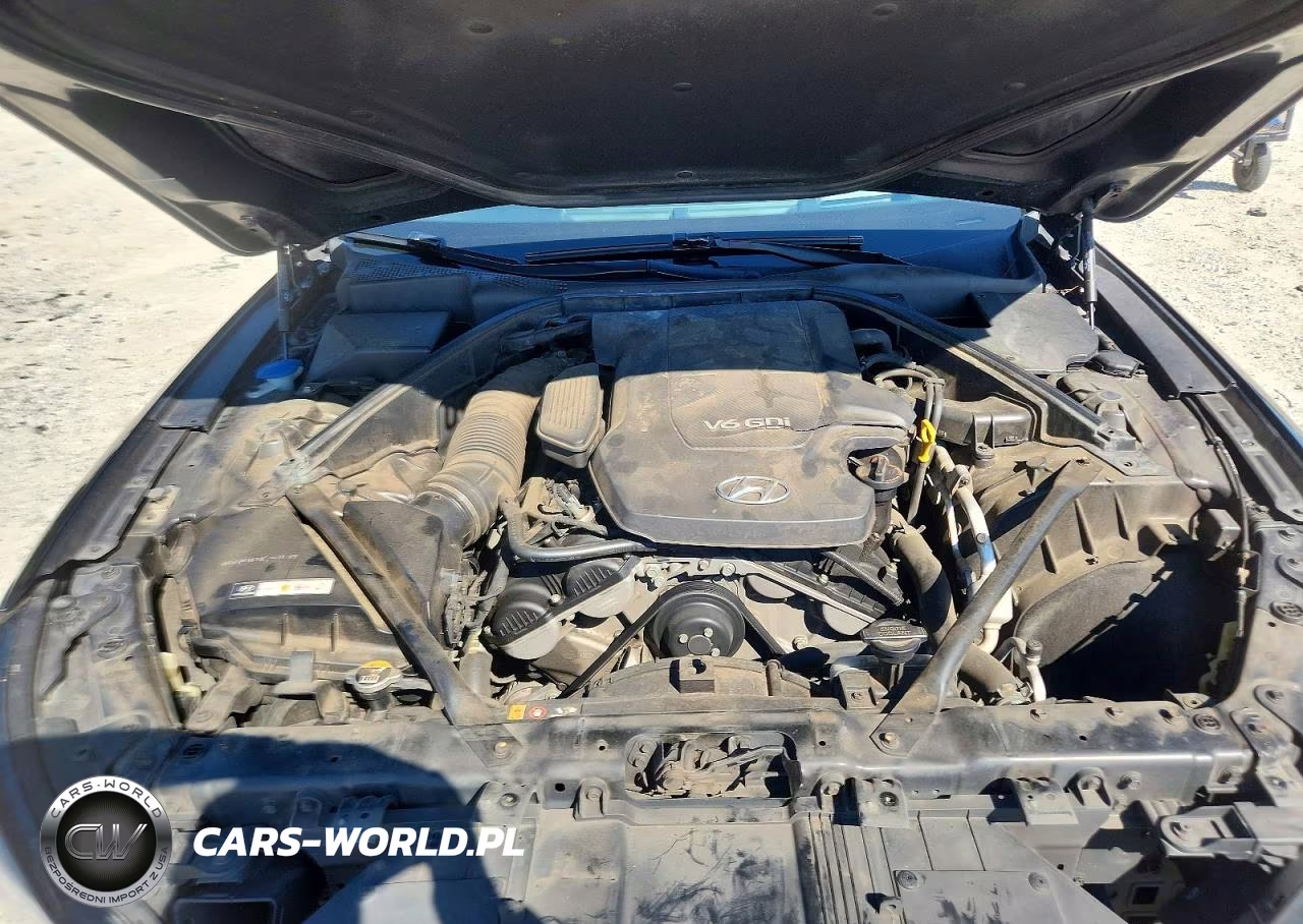2015 Hyundai Genesis 3.8L VIN:KMHGN4JE8FU059036 - 11