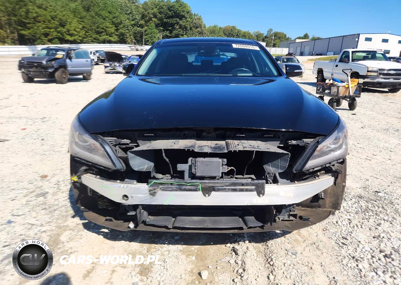 2015 Hyundai Genesis 3.8L VIN:KMHGN4JE8FU059036 - 5