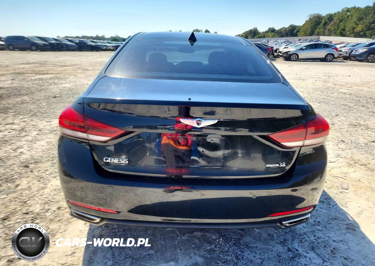 2015 Hyundai Genesis 3.8L VIN:KMHGN4JE8FU059036 - 6