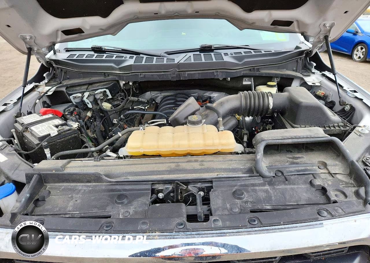 2022 Ford F150 Supercrew VIN:1FTFW1E53NFC04797 - 11
