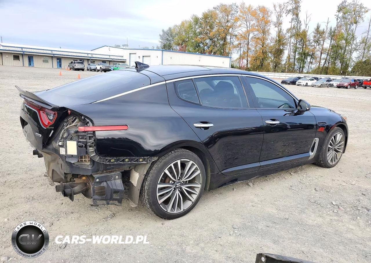2018 Kia Stinger Premium VIN:KNAE25LA4J6024508 - 3