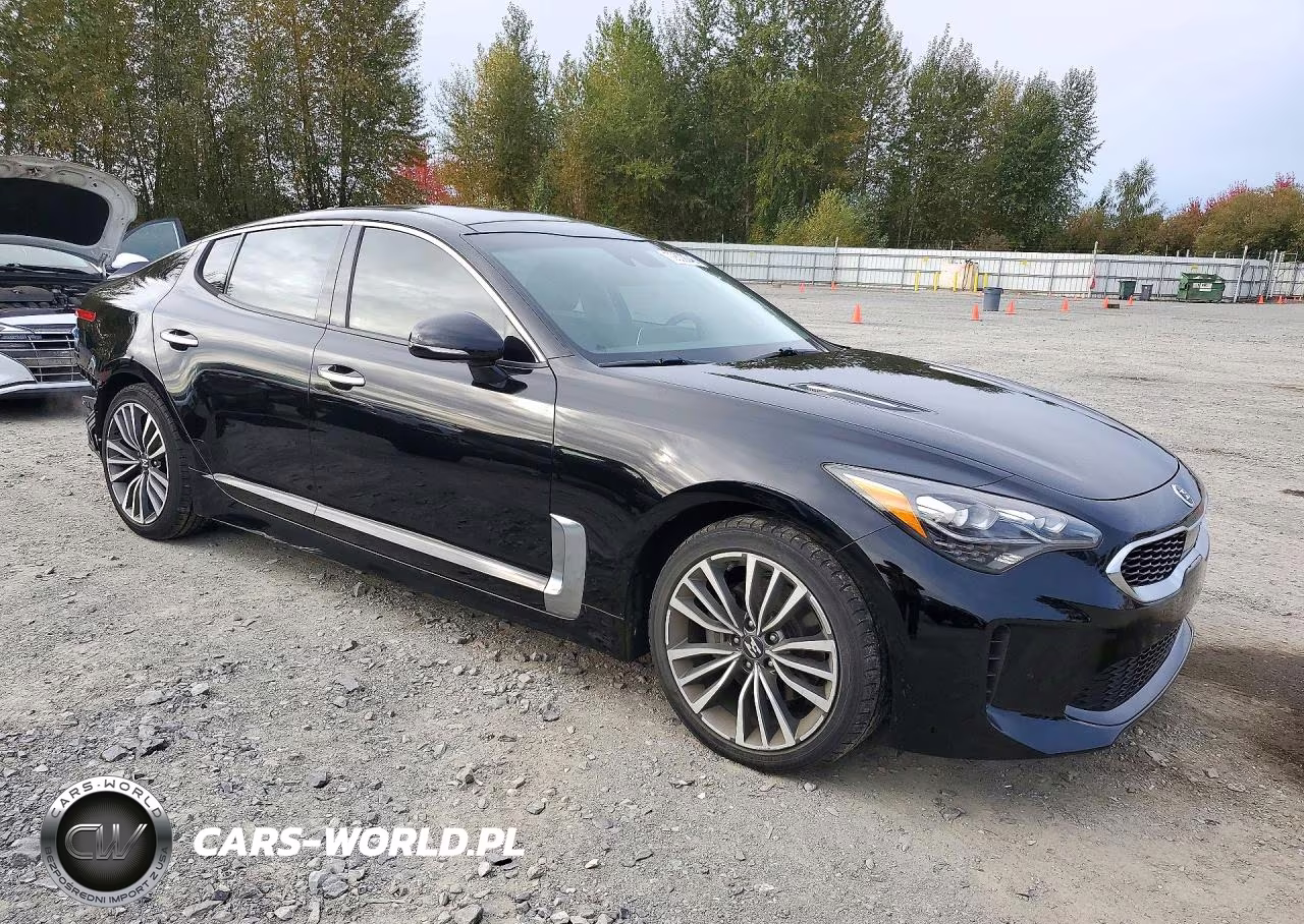 2018 Kia Stinger Premium VIN:KNAE25LA4J6024508 - 4