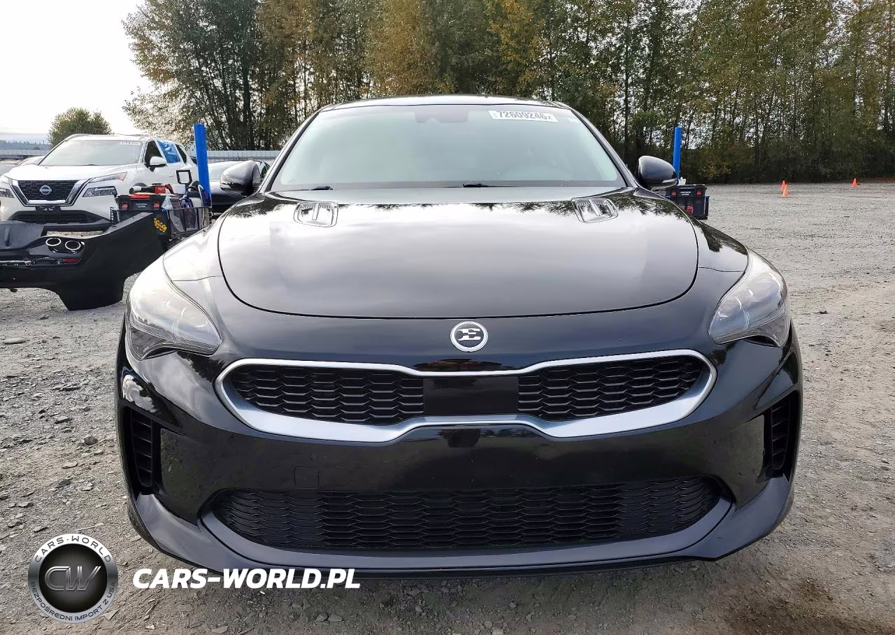 2018 Kia Stinger Premium VIN:KNAE25LA4J6024508 - 5
