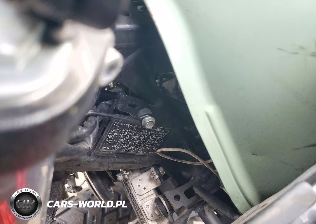 2023 Kawasaki Kle300 C VIN:JKALE8C19PDA15677 - 9