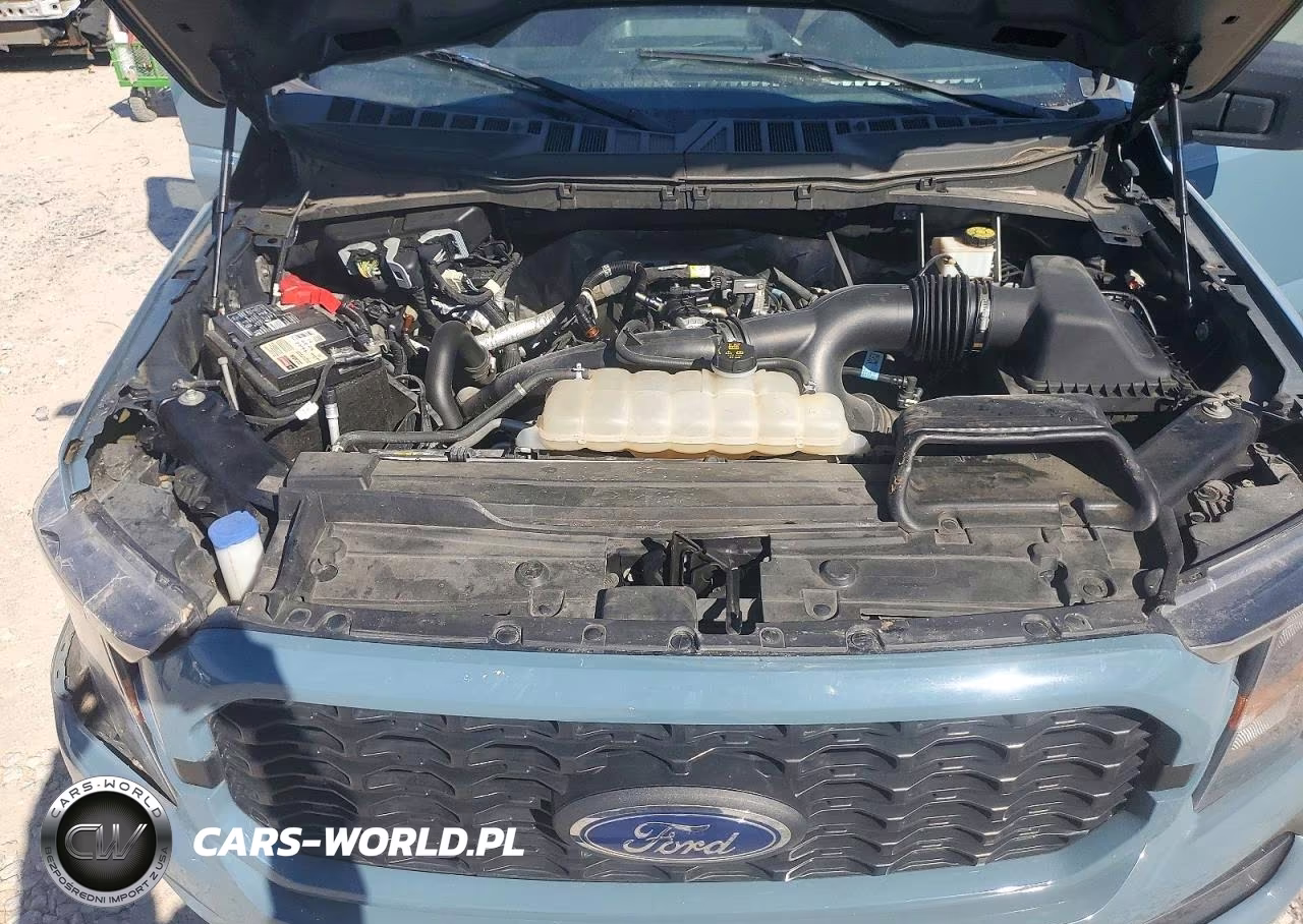 2023 Ford F150 Supercrew VIN:1FTEW1CP9PKD68789 - 11