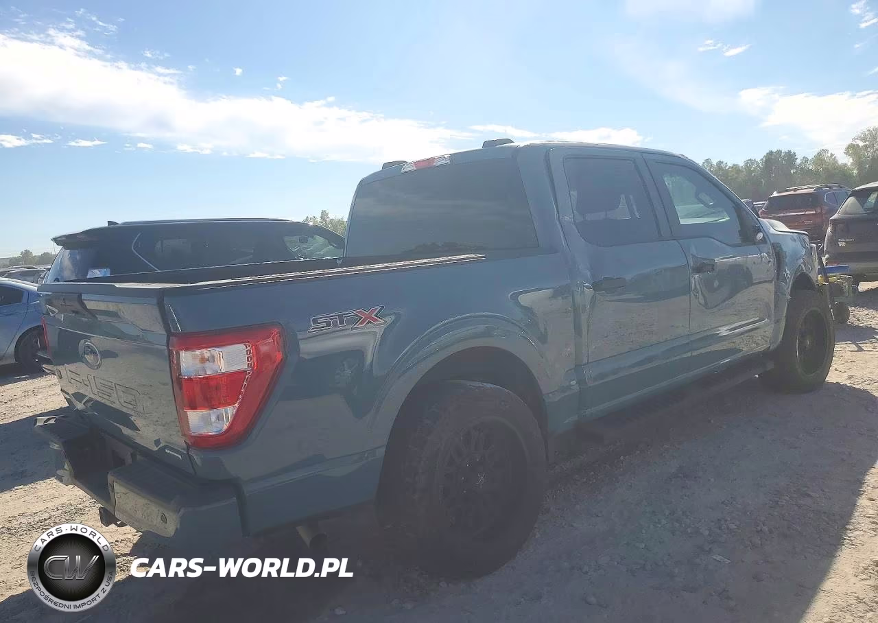 2023 Ford F150 Supercrew VIN:1FTEW1CP9PKD68789 - 3