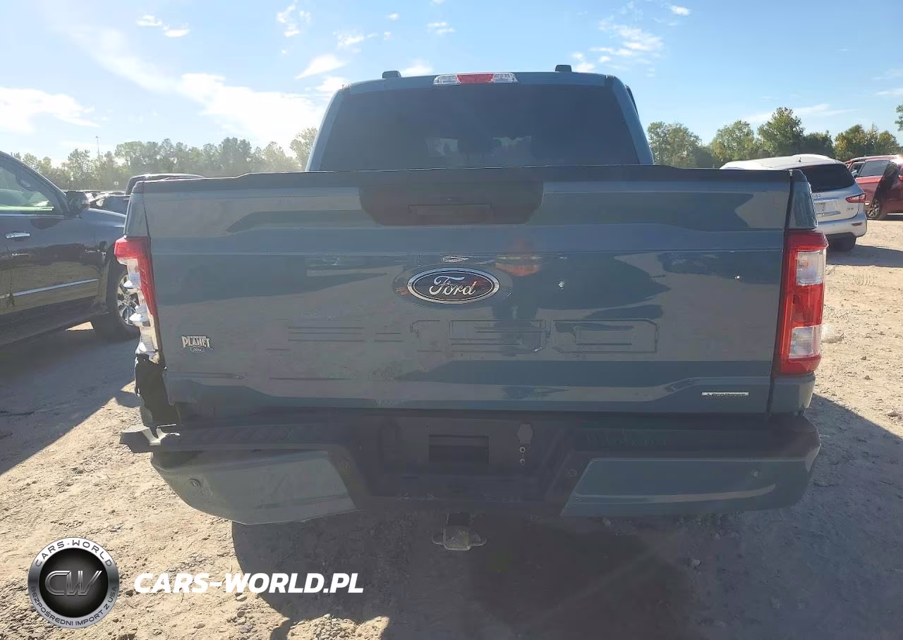 2023 Ford F150 Supercrew VIN:1FTEW1CP9PKD68789 - 6