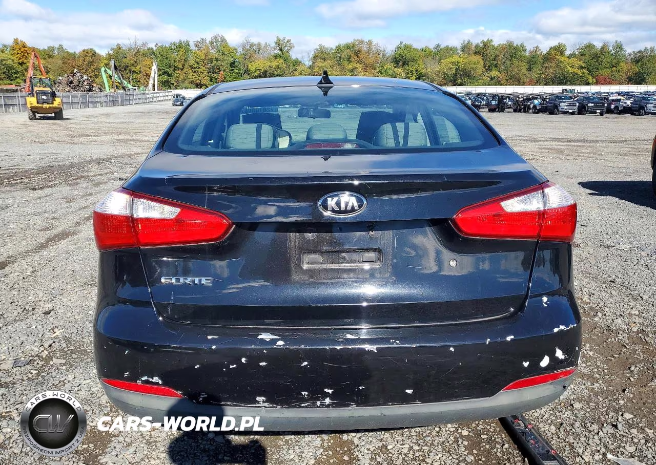 2014 Kia Forte Lx VIN:KNAFK4A65E5139630 - 6