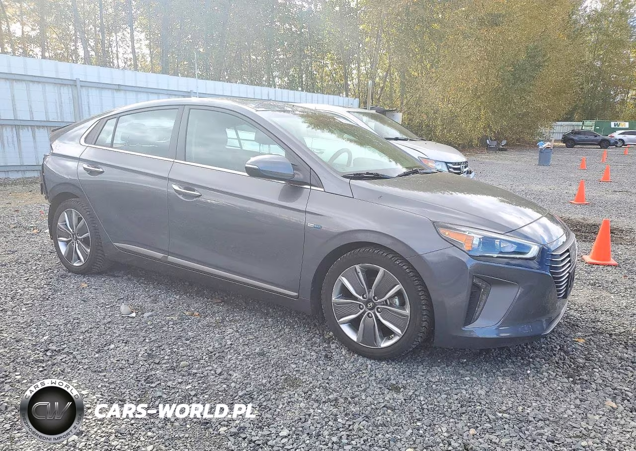 2018 Hyundai Ioniq Limited VIN:KMHC05LC5JU082247 - 4
