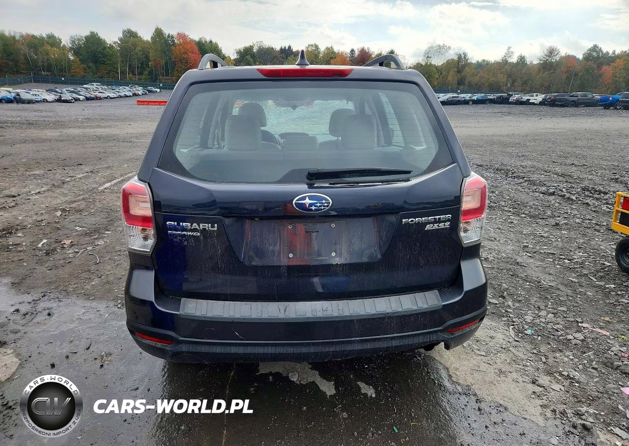 2017 Subaru Forester 2.5I VIN:JF2SJABCXHH433679 - 6