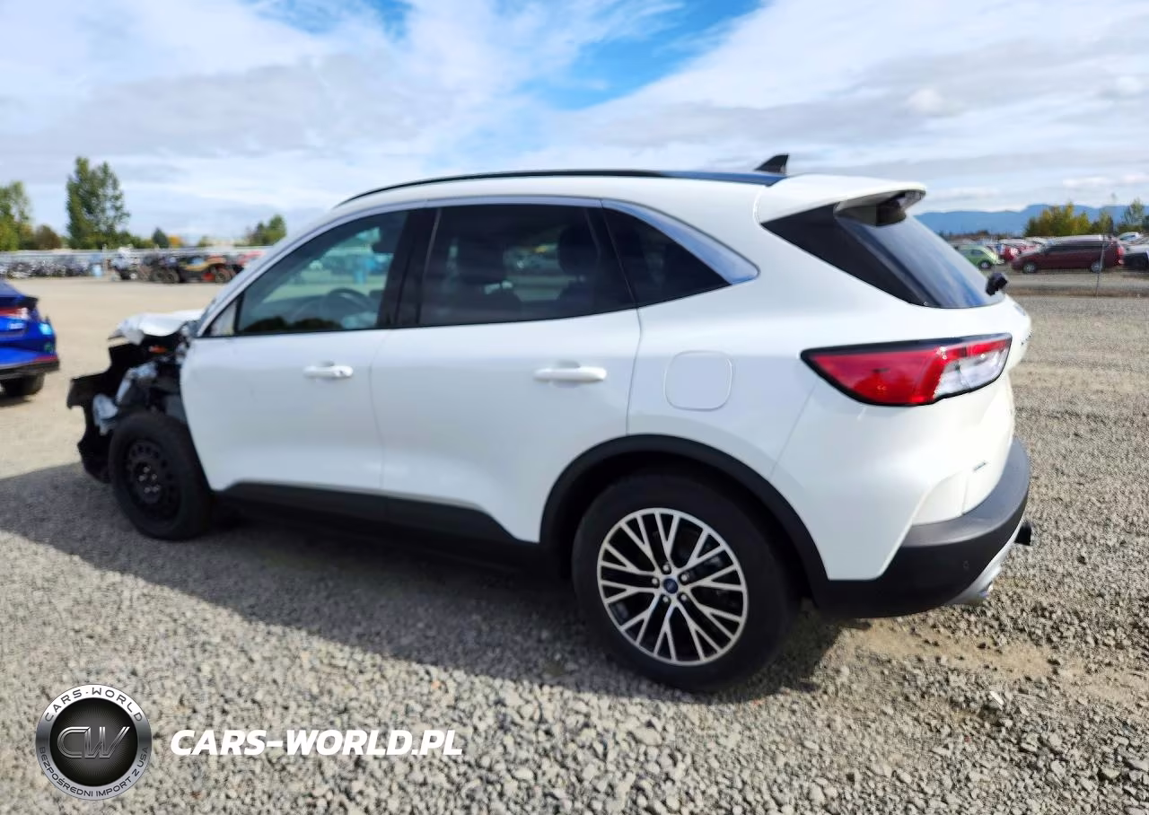 2022 Ford Escape Sel VIN:1FMCU0KZ4NUA27808 - 2