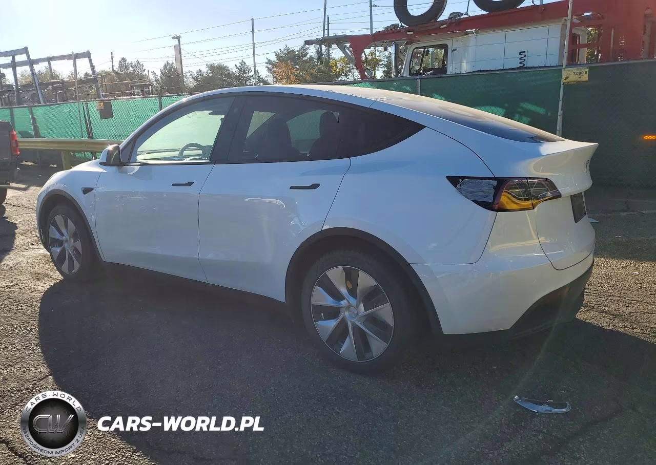2023 Tesl Model Y VIN:7SAYGAEE8PF714224 - 2