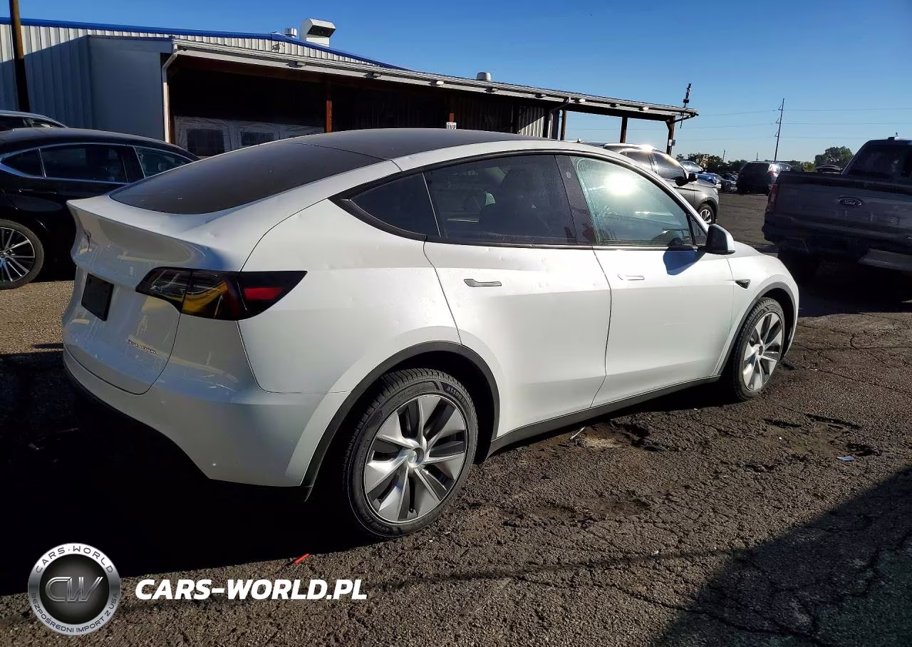 2023 Tesl Model Y VIN:7SAYGAEE8PF714224 - 3