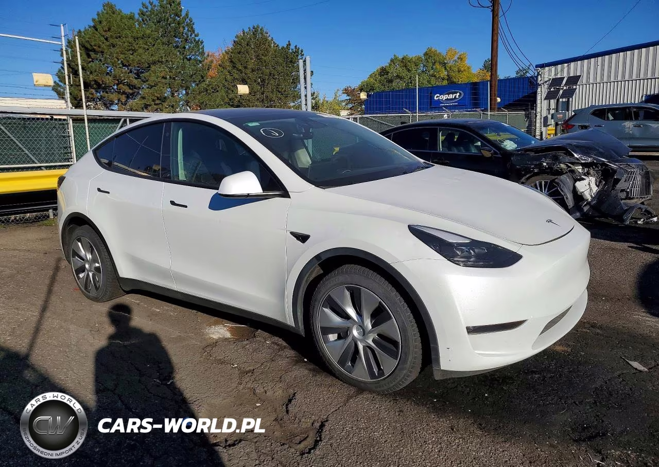2023 Tesl Model Y VIN:7SAYGAEE8PF714224 - 4