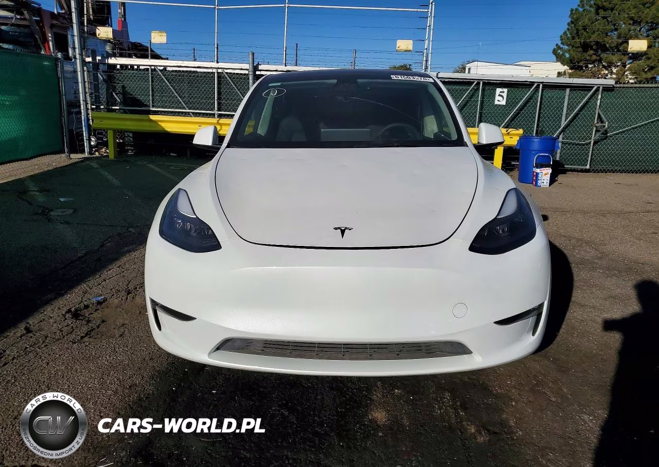 2023 Tesl Model Y VIN:7SAYGAEE8PF714224 - 5