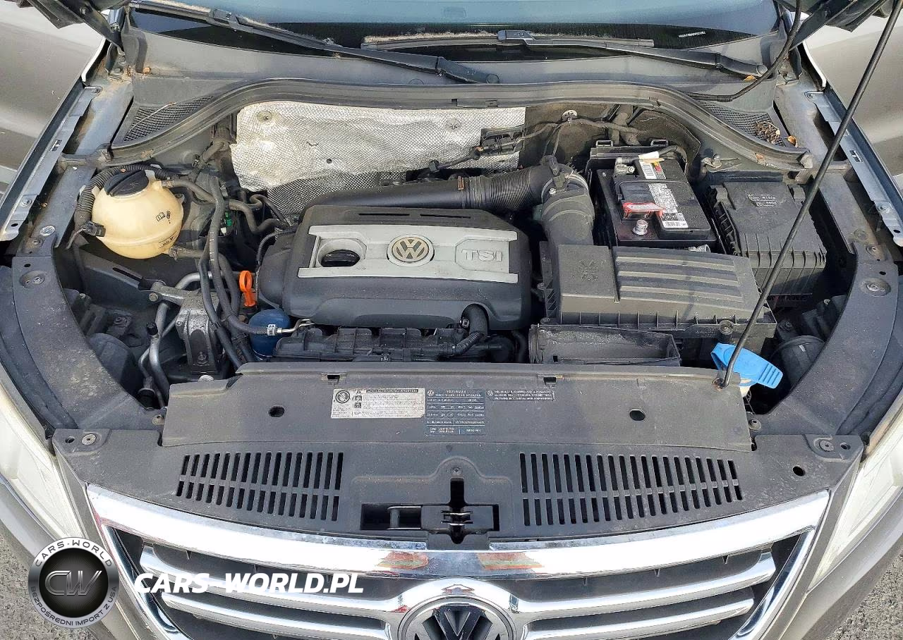 2009 Volkswagen Tiguan Se VIN:WVGBV75N49W527052 - 12