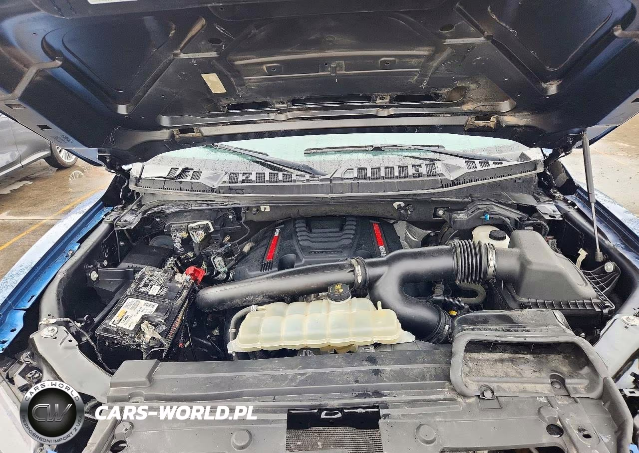 2020 Ford F-150 Raptor VIN:1FTFW1RG4LFB28922 - 11