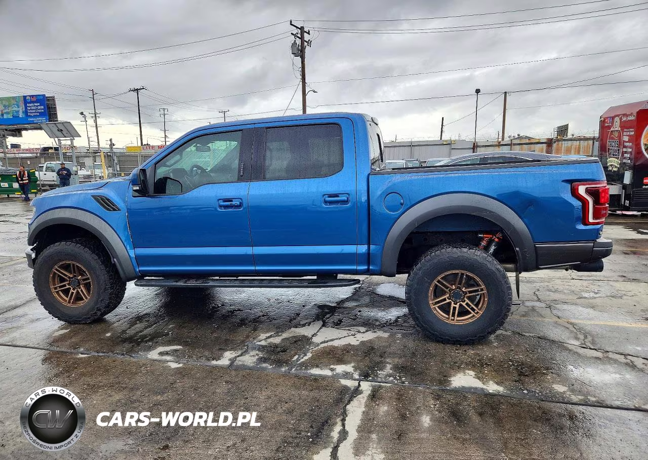 2020 Ford F-150 Raptor VIN:1FTFW1RG4LFB28922 - 2