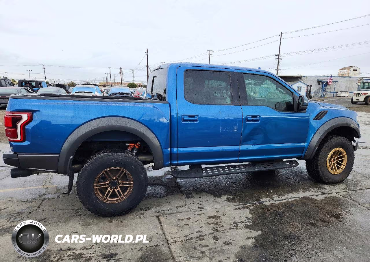 2020 Ford F-150 Raptor VIN:1FTFW1RG4LFB28922 - 3