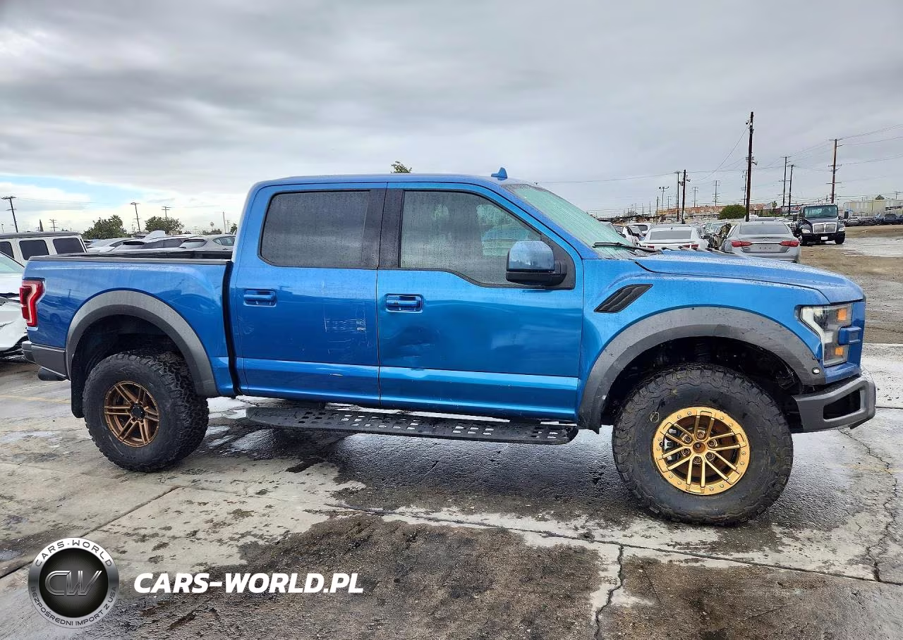 2020 Ford F-150 Raptor VIN:1FTFW1RG4LFB28922 - 4
