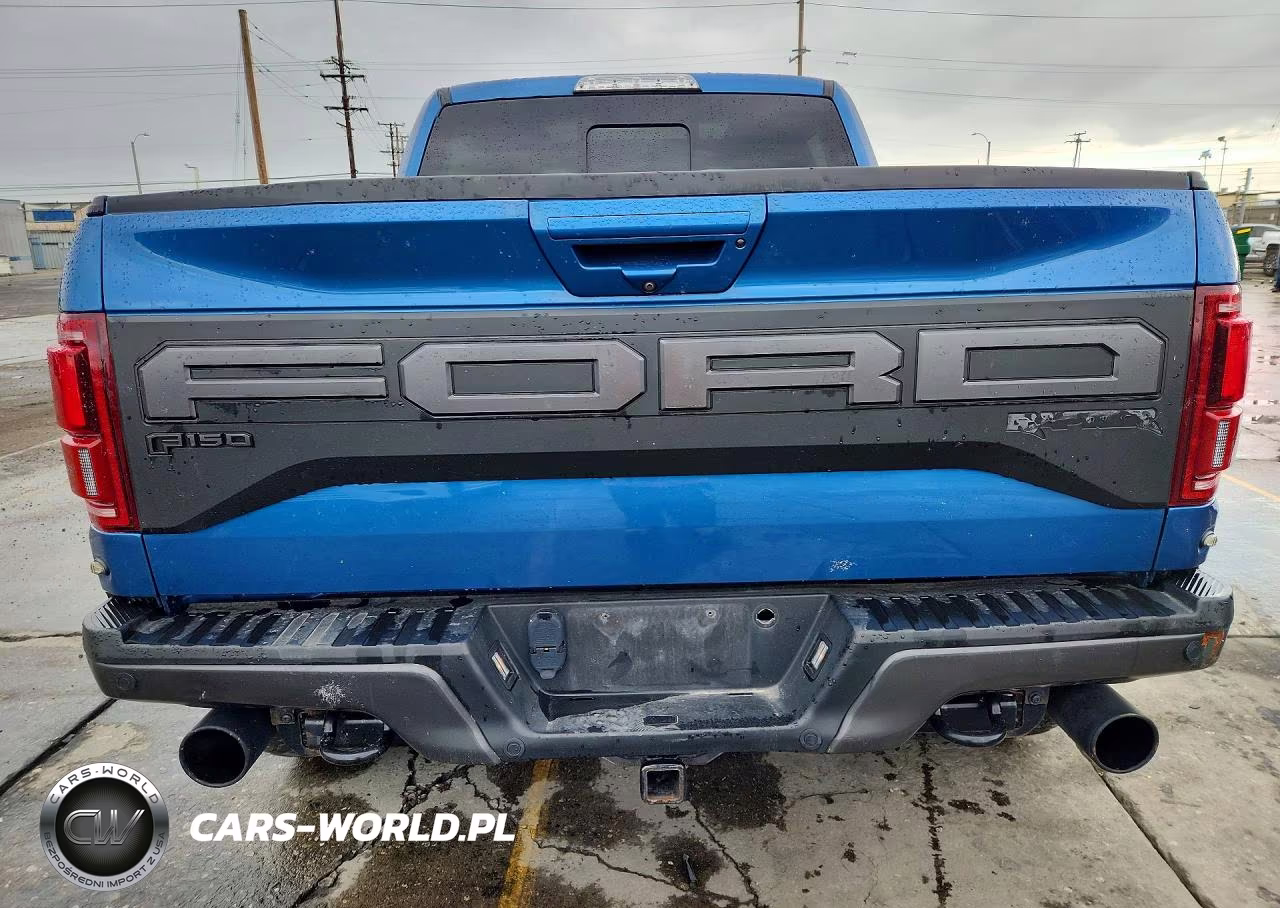 2020 Ford F-150 Raptor VIN:1FTFW1RG4LFB28922 - 6