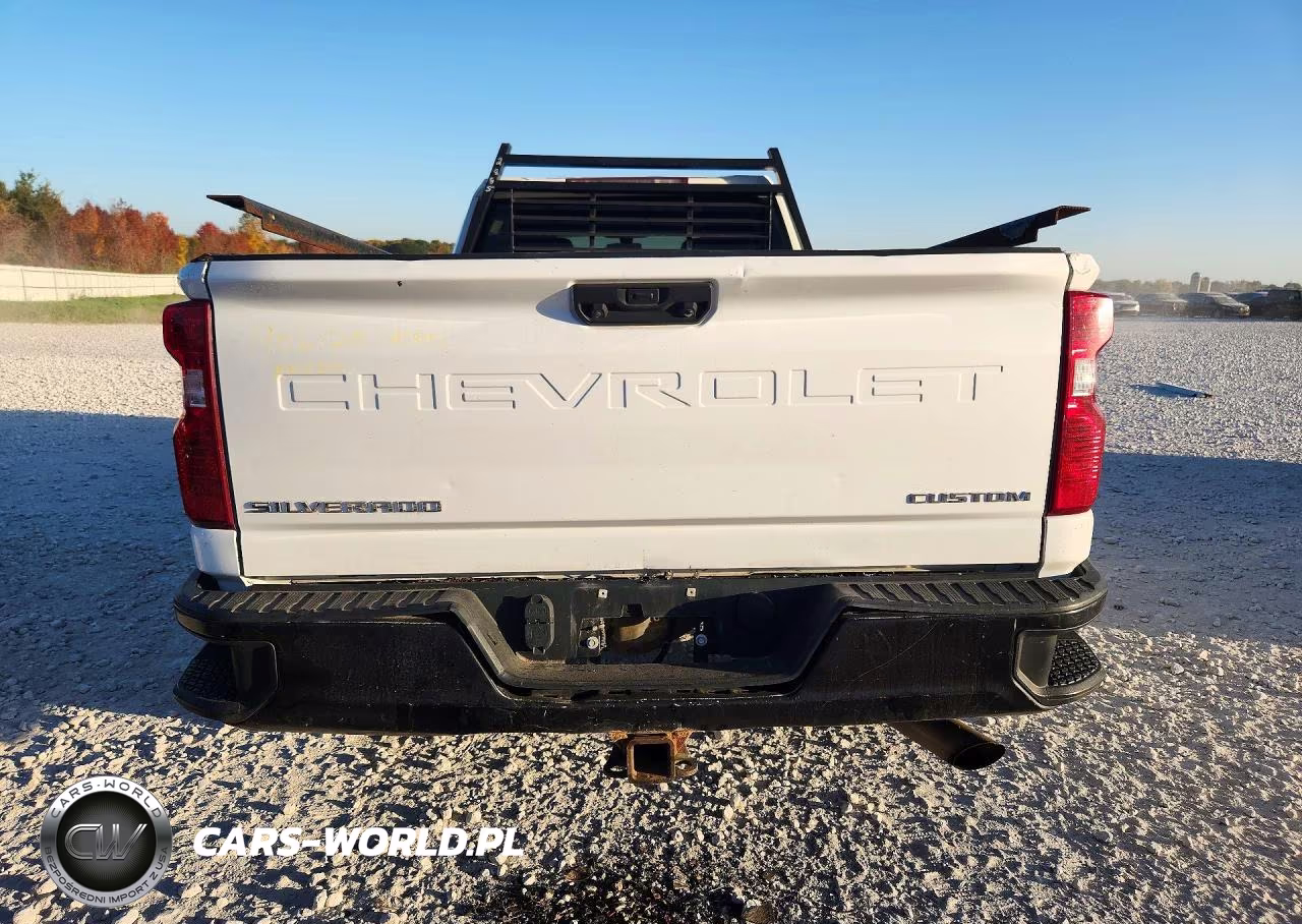 2020 Chevrolet Silverado K2500 Heavy Duty VIN:1GC1YLE70LF322885 - 6