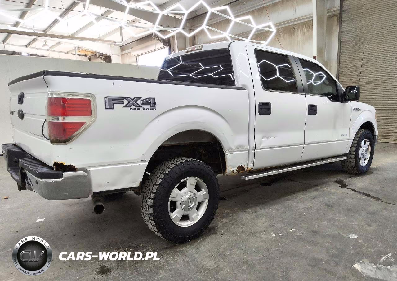 2011 Ford F150 Supercrew VIN:1FTFW1ET9BFC65890 - 3