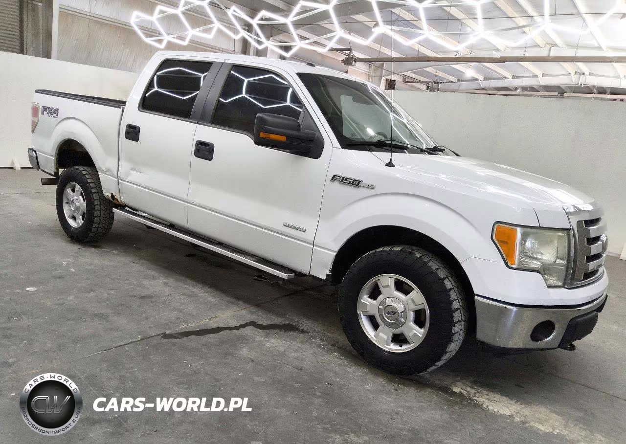 2011 Ford F150 Supercrew VIN:1FTFW1ET9BFC65890 - 4