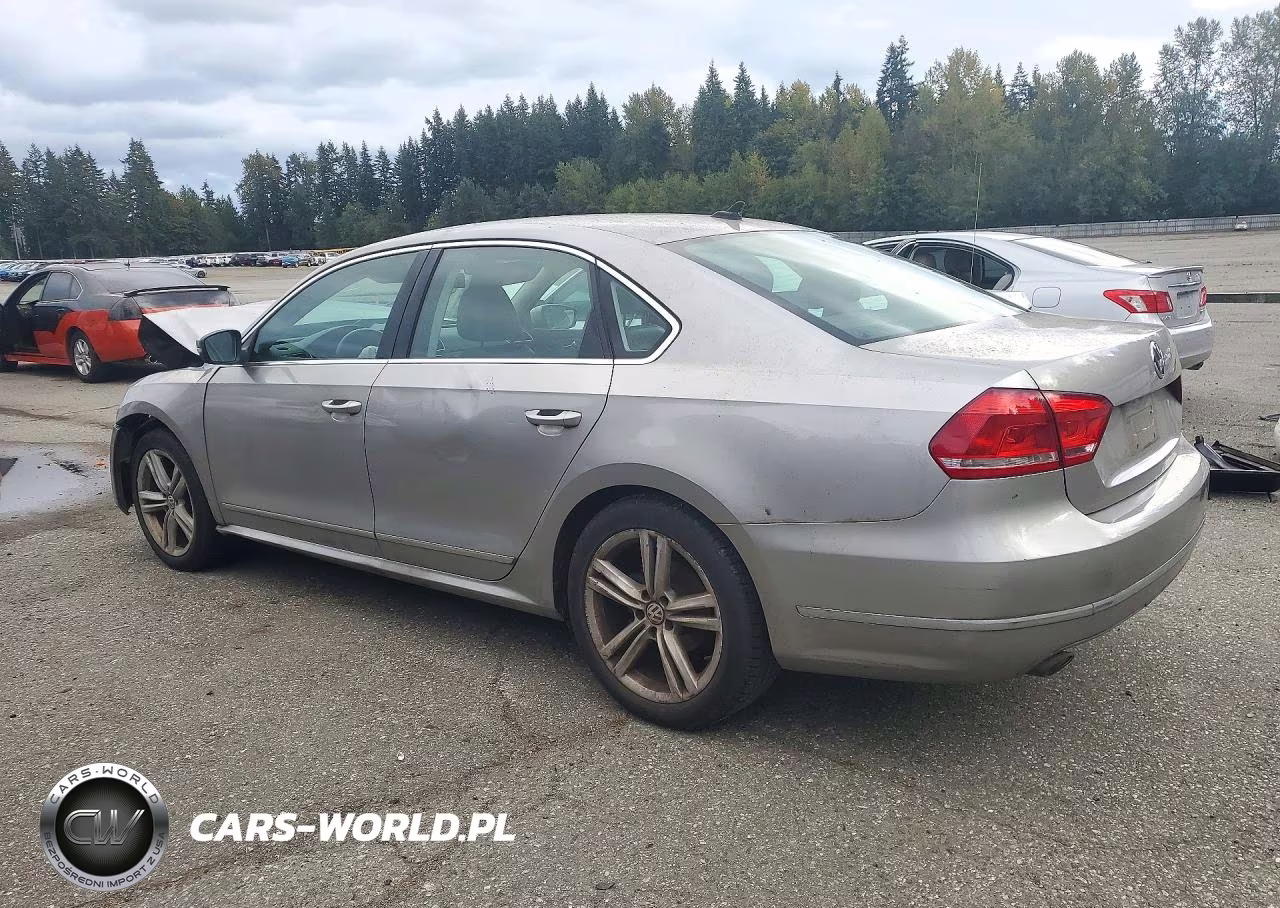 2013 Volkswagen Passat Sel VIN:1VWCN7A33DC065118 - 2