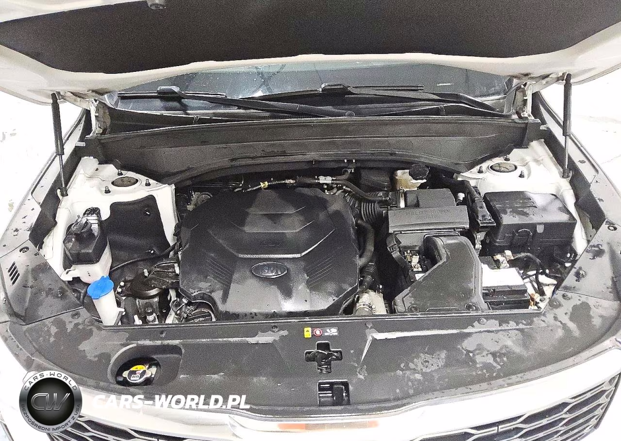2021 Kia Telluride S VIN:5XYP6DHC4MG137414 - 12