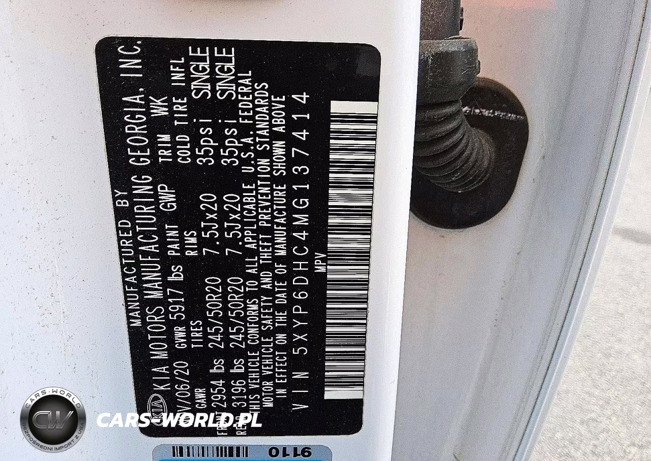 2021 Kia Telluride S VIN:5XYP6DHC4MG137414 - 13