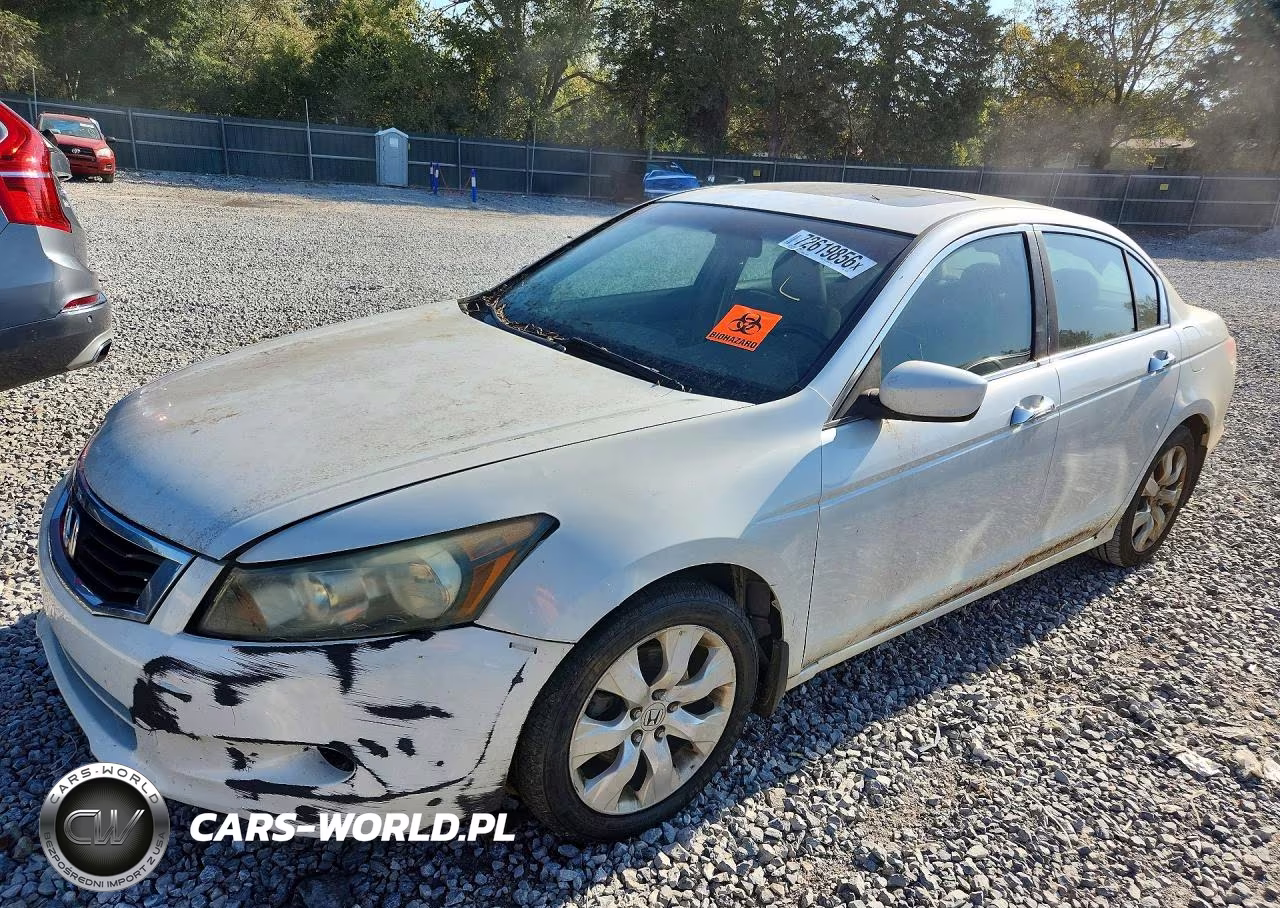 2008 Honda Accord Exl VIN:1HGCP368X8A019914 - 1