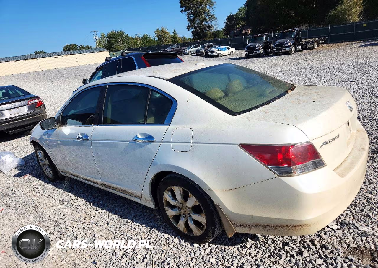 2008 Honda Accord Exl VIN:1HGCP368X8A019914 - 2