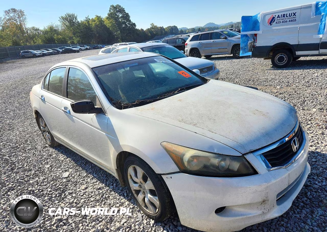 2008 Honda Accord Exl VIN:1HGCP368X8A019914 - 4