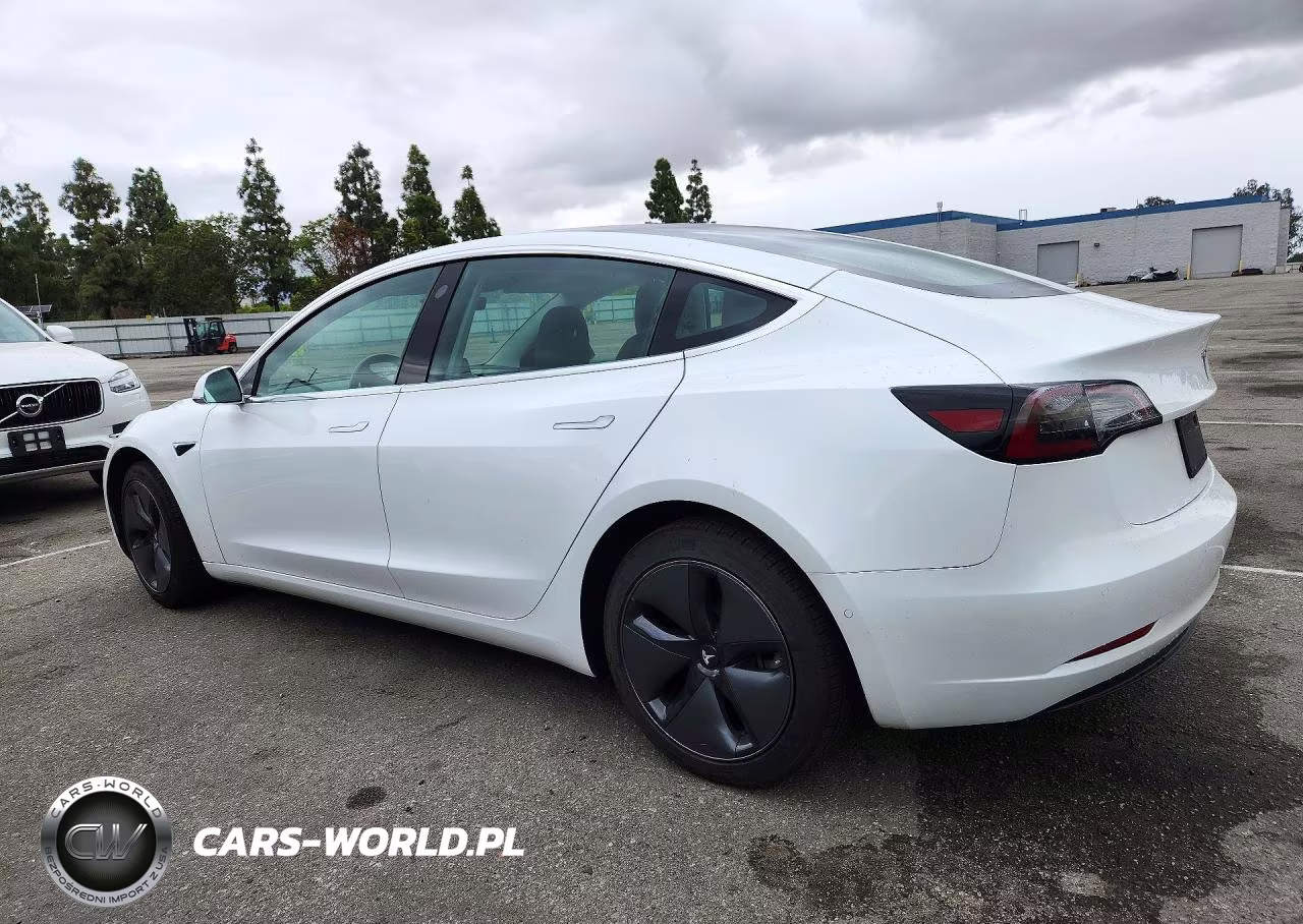 2020 Tesla Model 3 VIN:5YJ3E1EA0LF631388 - 2